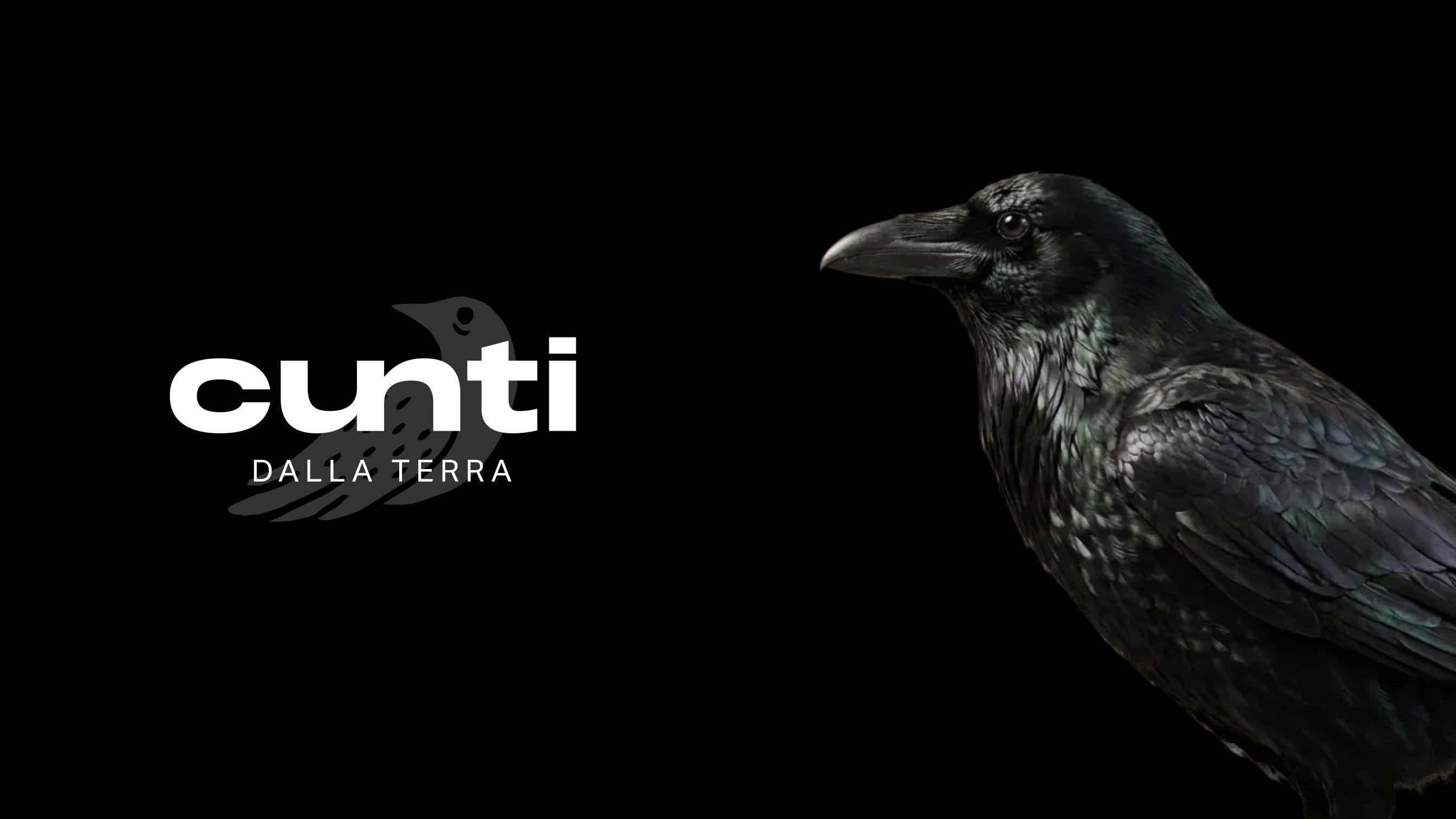 The raven, the Cunti brand symbol