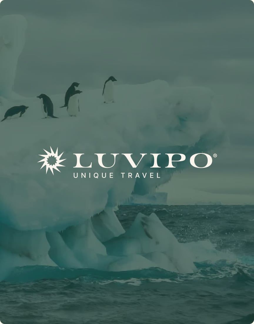 Identità visiva di Luvipo, unique travel