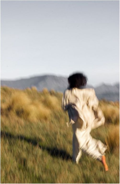 A figure walking away through a mountain meadow